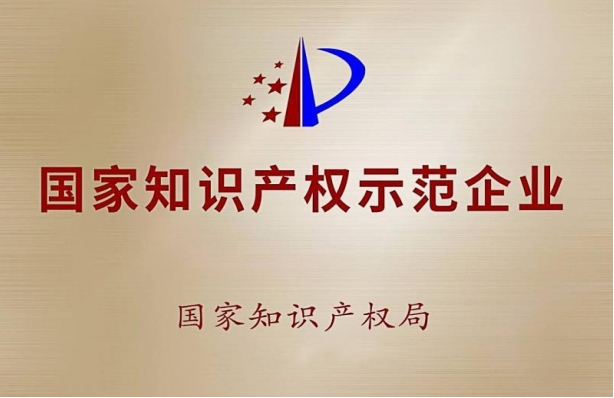 國家知識(shí)產(chǎn)權(quán)示范企業(yè)